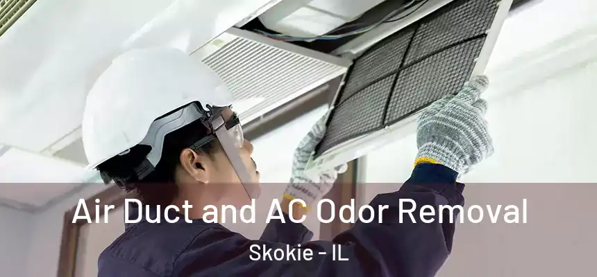 Air Duct and AC Odor Removal Skokie - IL