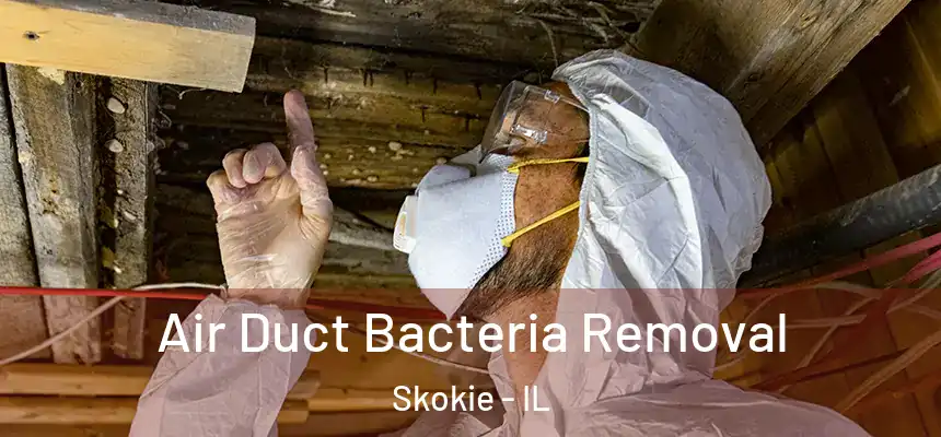  Air Duct Bacteria Removal Skokie - IL