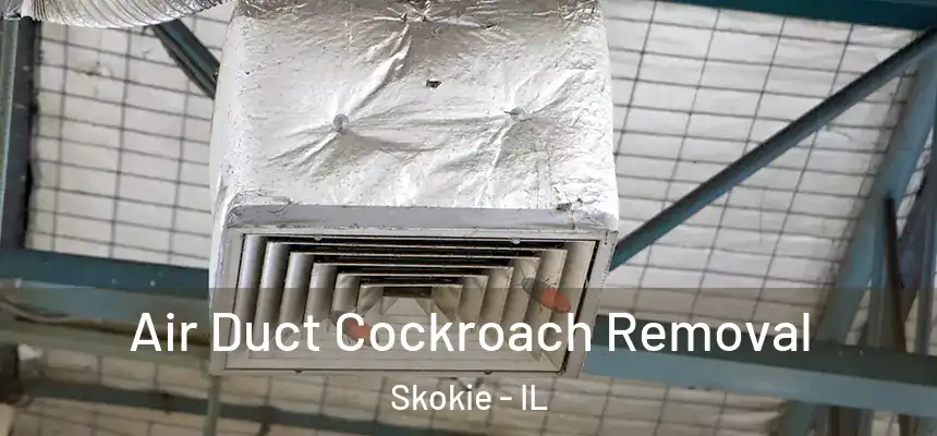 Air Duct Cockroach Removal Skokie - IL