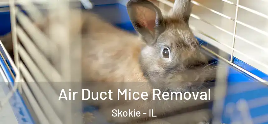 Air Duct Mice Removal Skokie - IL