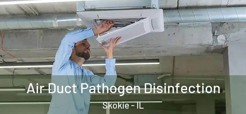  Air Duct Pathogen Disinfection Skokie - IL