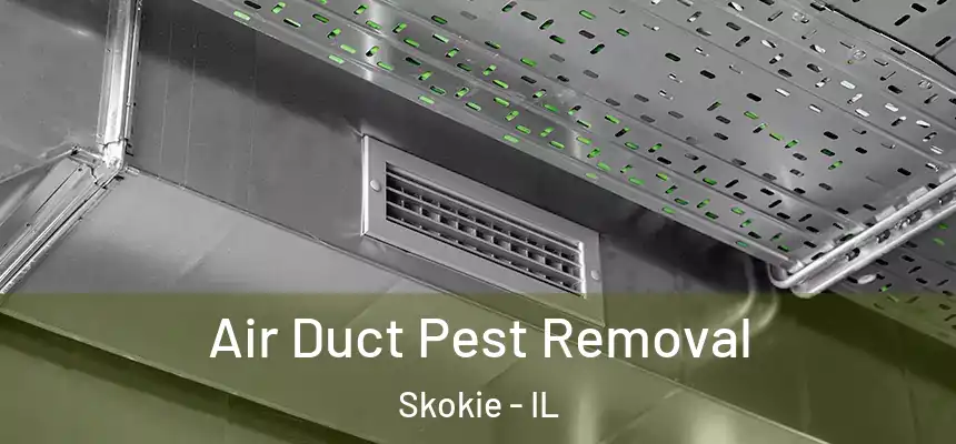 Air Duct Pest Removal Skokie - IL