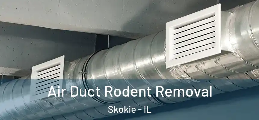  Air Duct Rodent Removal Skokie - IL