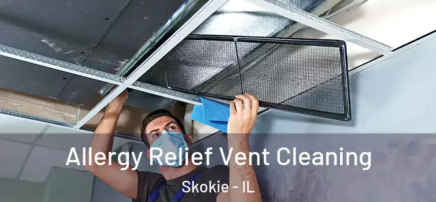 Allergy Relief Vent Cleaning Skokie - IL