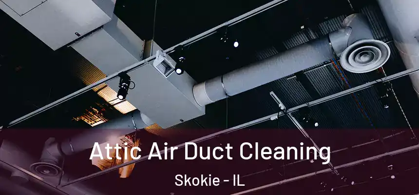  Attic Air Duct Cleaning Skokie - IL