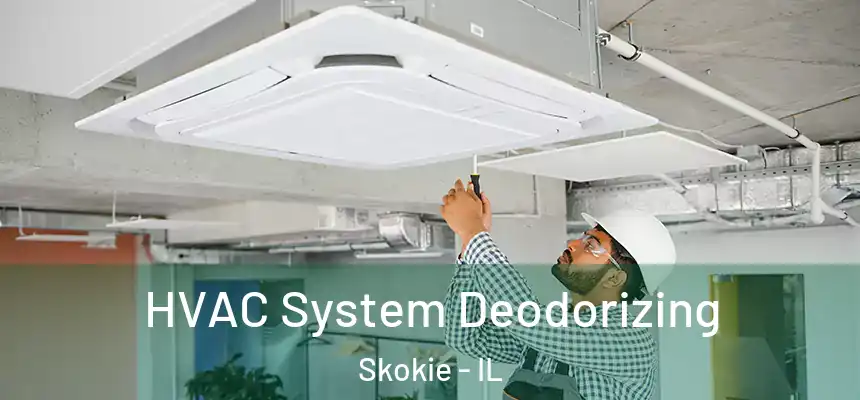  HVAC System Deodorizing Skokie - IL