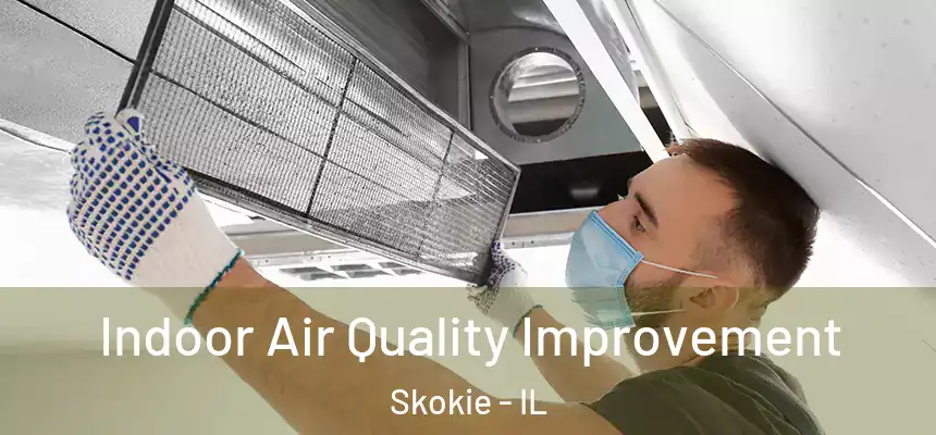  Indoor Air Quality Improvement Skokie - IL