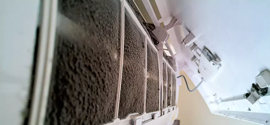 Preventive Air Duct Bacteria Removal in Skokie