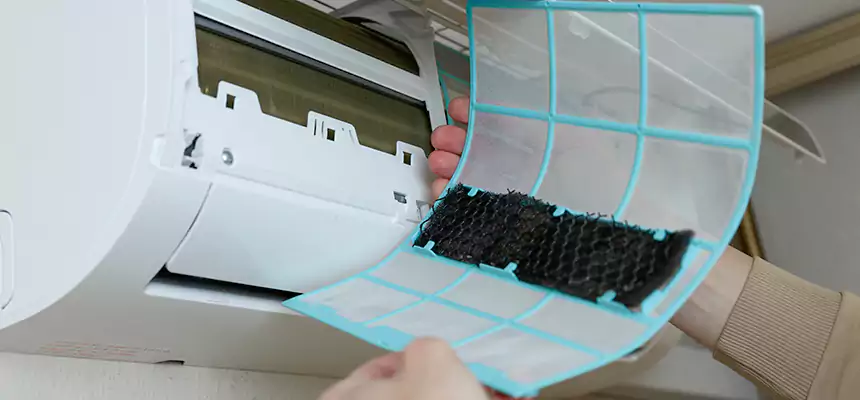 Gentle Ductwork Odor-Control Pet Dander Duct Cleaning in Skokie, IL