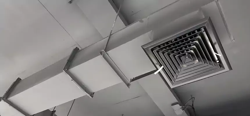 Our Rodent Droppings In Vents Services in Skokie, IL