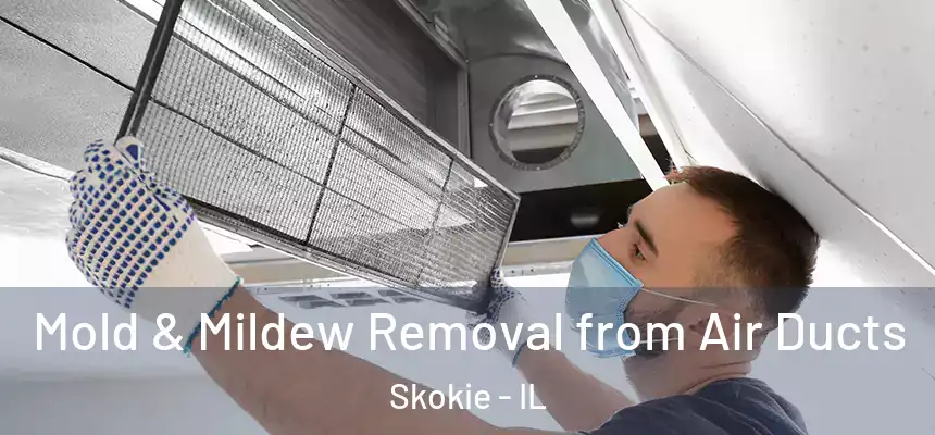  Mold & Mildew Removal from Air Ducts Skokie - IL