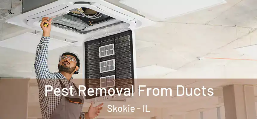 Pest Removal From Ducts Skokie - IL