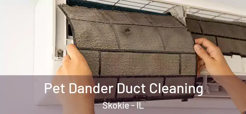 Pet Dander Duct Cleaning Skokie - IL