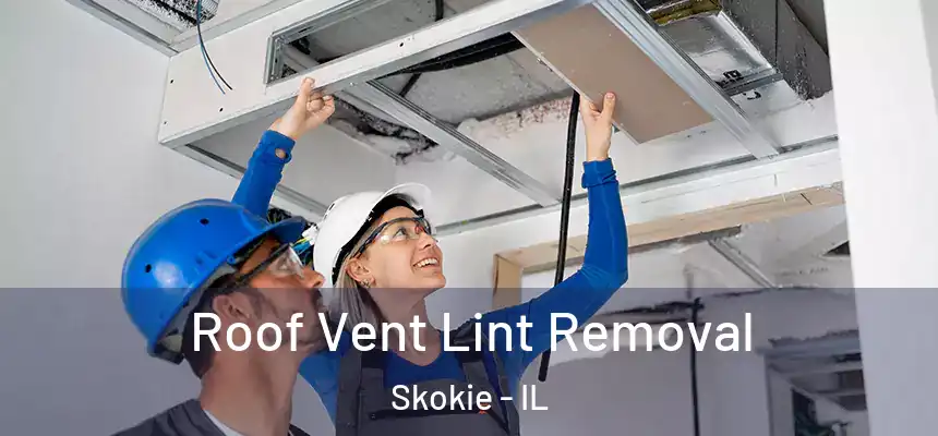  Roof Vent Lint Removal Skokie - IL