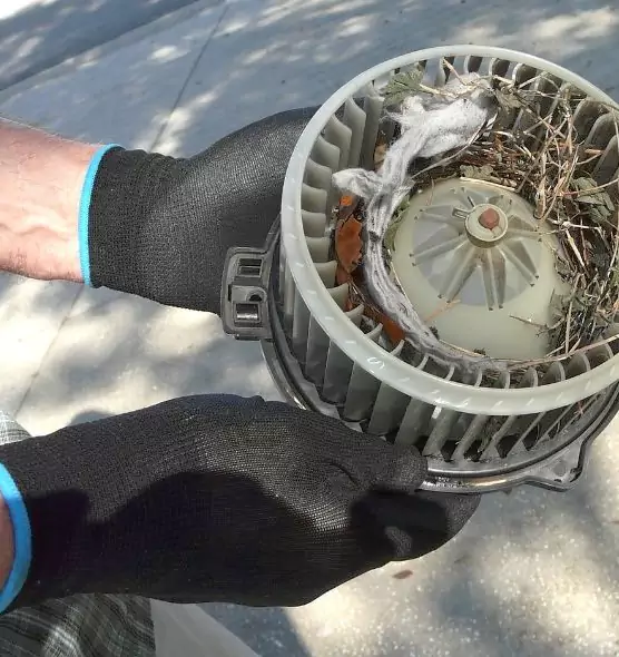 About Air Duct Mice Removal in Skokie, IL