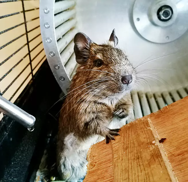 Why Homeowners & Businesses Trust Us Skokie, IL?