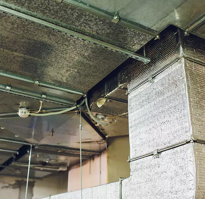 Why Homeowners & Businesses Trust Us in Skokie, IL?