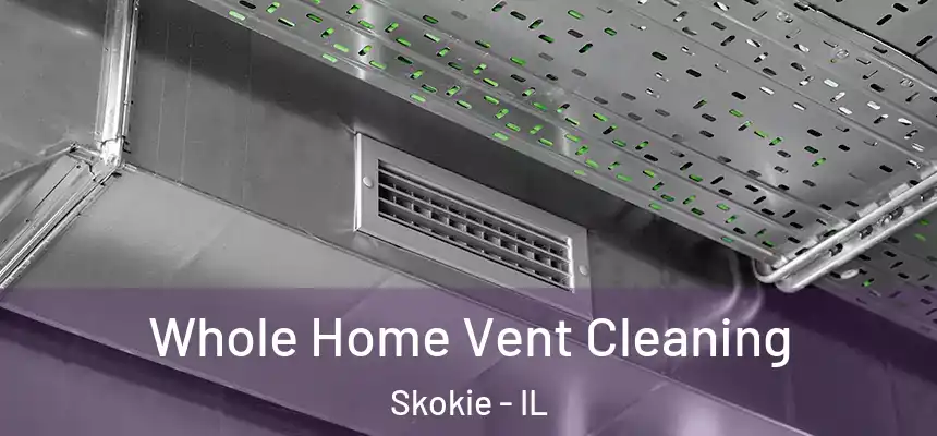 Whole Home Vent Cleaning Skokie - IL